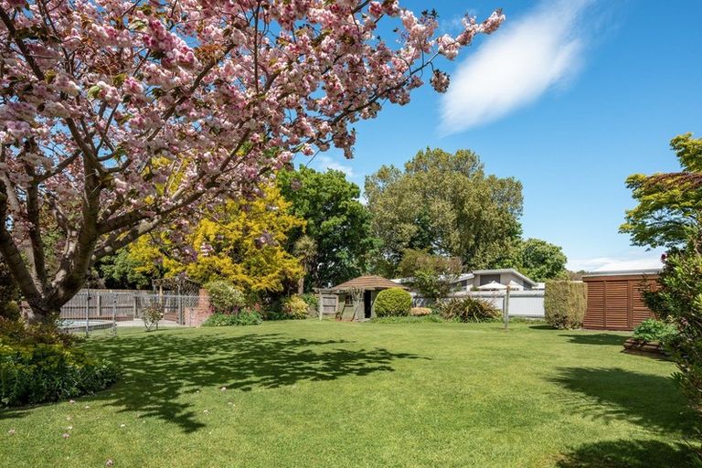 Photo of property in 23 Ward Street, Springlands, Blenheim, 7201