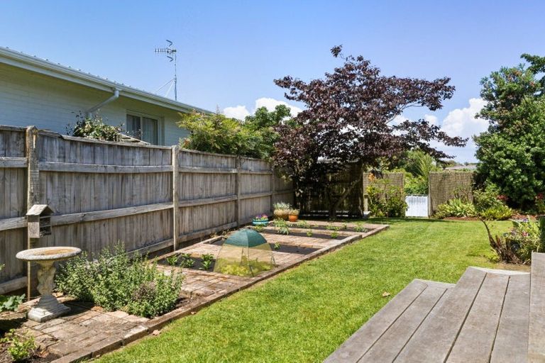 Photo of property in 8 Mersea Place, Maungatapu, Tauranga, 3112