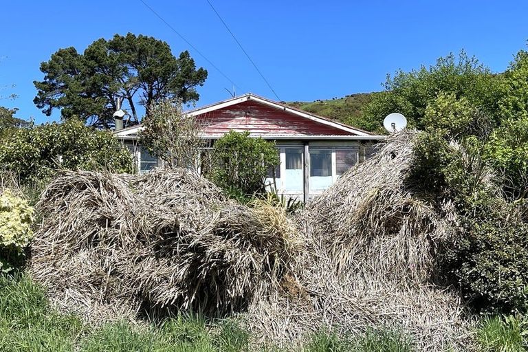 Photo of property in 767 Catlins Valley Road, Tawanui, Owaka, 9586