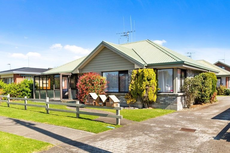 Photo of property in 1/14 Twelfth Avenue, Tauranga South, Tauranga, 3112
