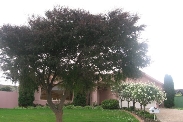 Photo of property in 29 Caroline Crescent, Highbury, Palmerston North, 4412