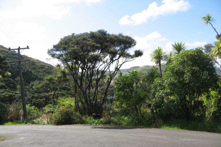Photo of property in 21 Tasman View Road, Te Henga / Bethells Beach, Henderson, 0781
