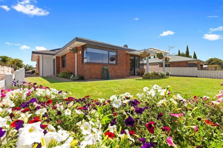 Photo of property in 725a Cameron Road, Tauranga South, Tauranga, 3112
