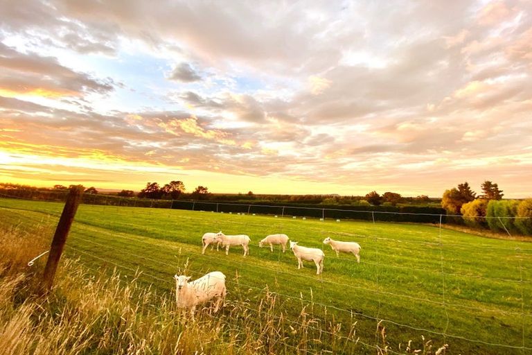 Photo of property in 21 Crallans Drain Road, Oxford, 7495