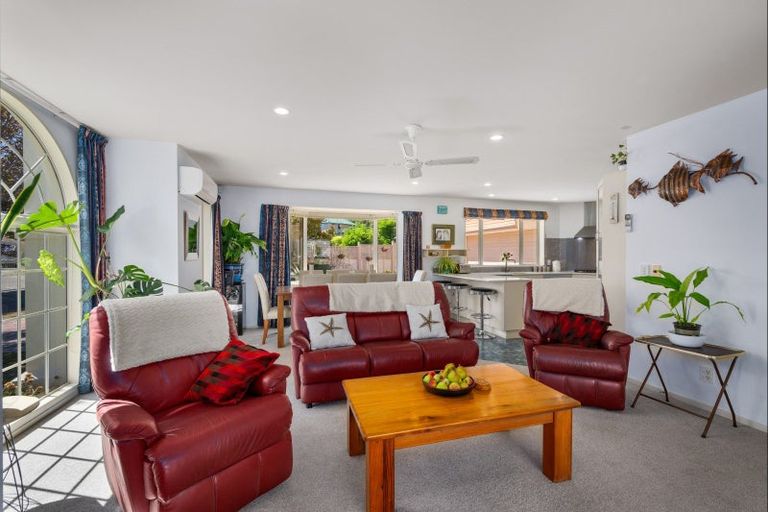 Photo of property in 12 Elmwood Avenue, Witherlea, Blenheim, 7201