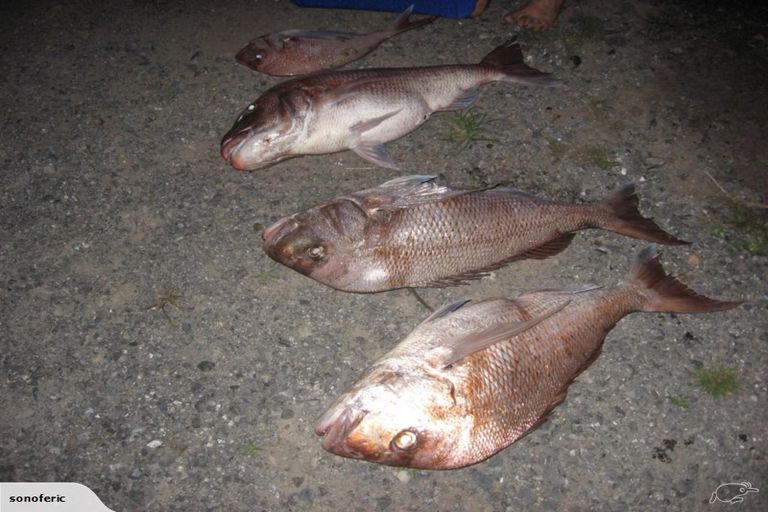 Photo of property in 355 Kimberley Road, Houhora, Pukenui, 0484