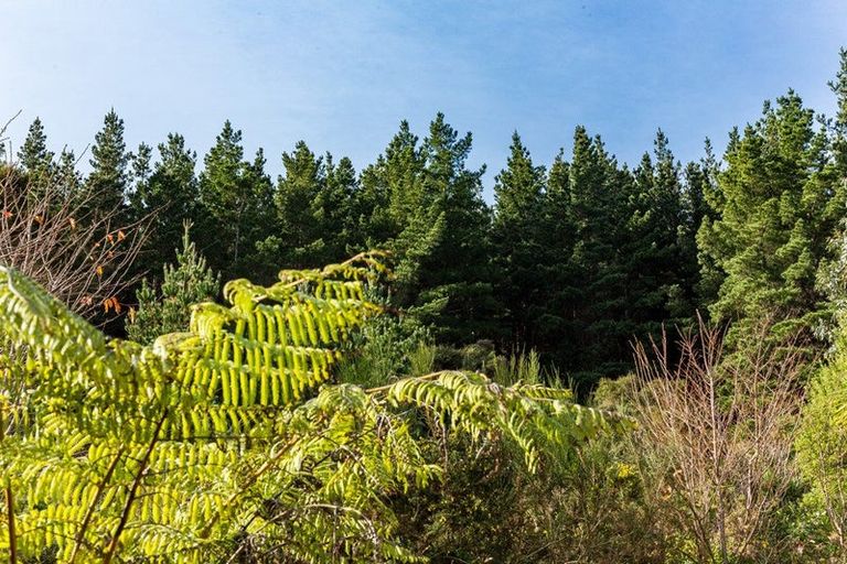 Photo of property in 56a Trelawney Road, Wainuiomata, Lower Hutt, 5014