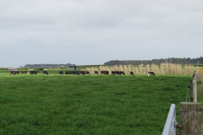 Photo of property in 7 Austin Road, Normanby, Hawera, 4673