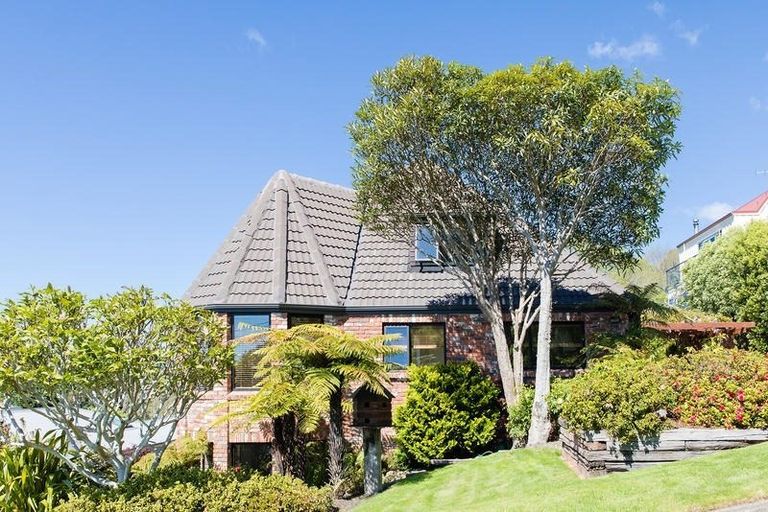 Photo of property in 5 Tui Street, Saint Leonards, Dunedin, 9022