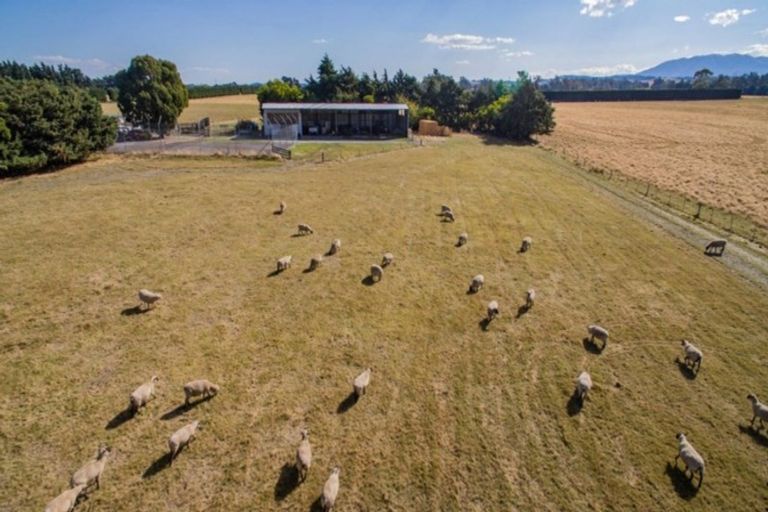 Photo of property in 176 Balcairn Amberley Road, Balcairn, Amberley, 7481