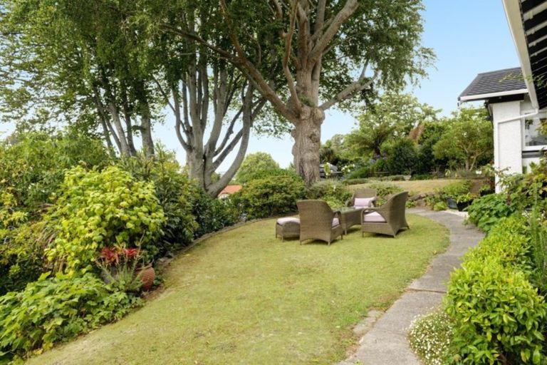 Photo of property in 17 Eighth Avenue, Tauranga, 3110