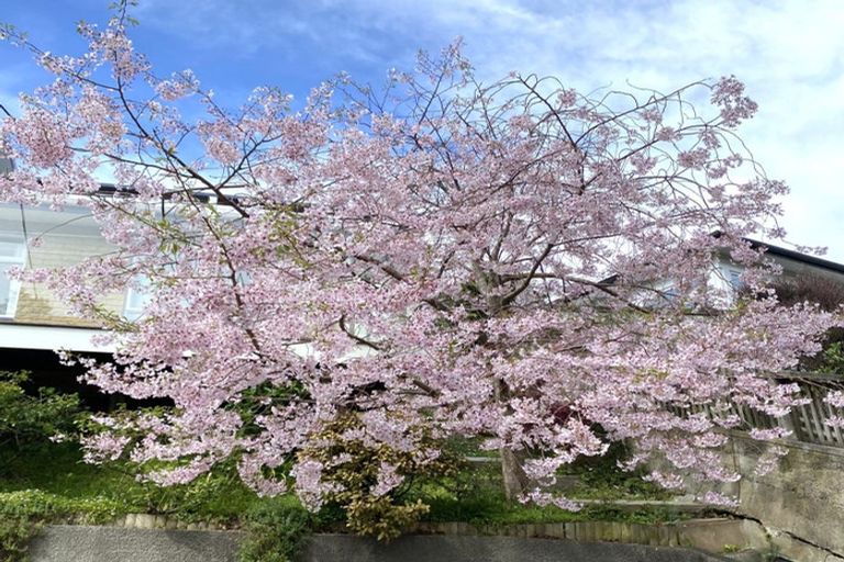 Photo of property in 5 Kellsmere Crescent, Island Bay, Wellington, 6023