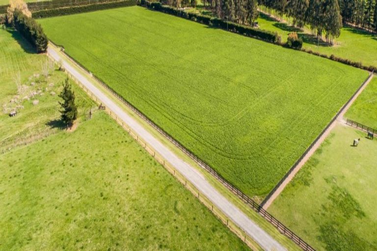 Photo of property in 348 Lineside Road, Flaxton, Kaiapoi, 7691