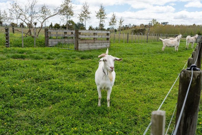 Photo of property in 33 Signal Road, Okaihau, 0475