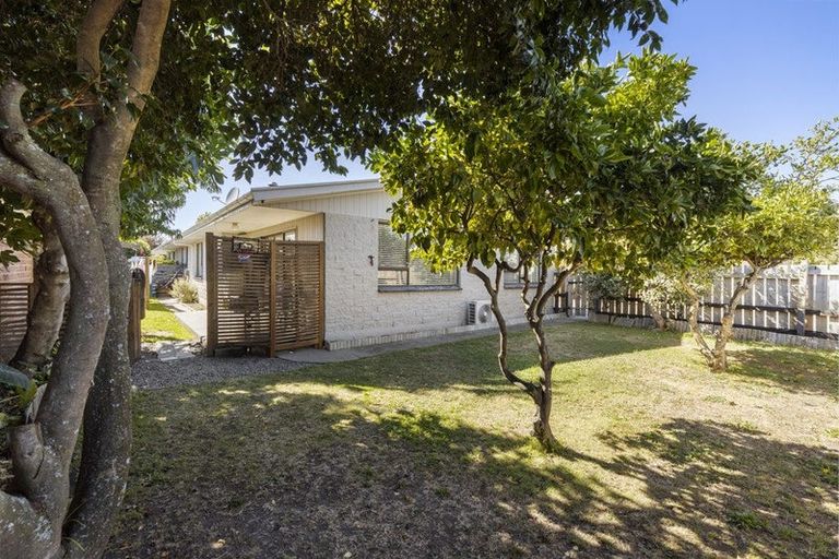 Photo of property in 1/121 Scott Street, Redwoodtown, Blenheim, 7201