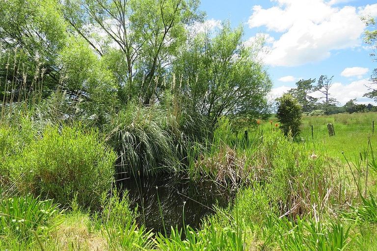 Photo of property in 605 Whakapirau Road, Whakapirau, Maungaturoto, 0583