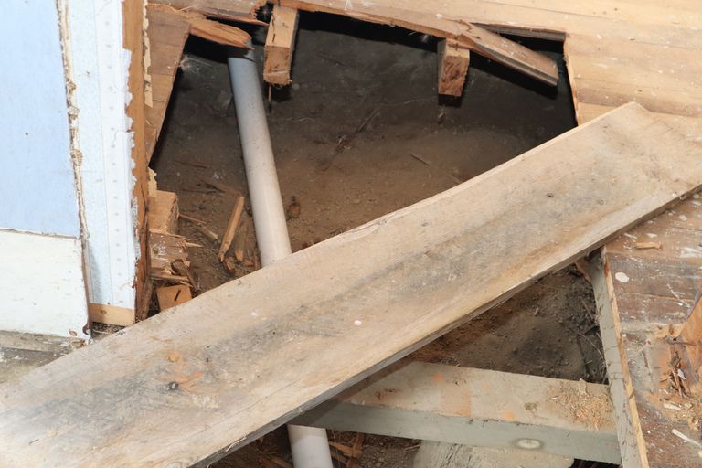 Photo of property in 5 Clark Street, Owaka, 9535