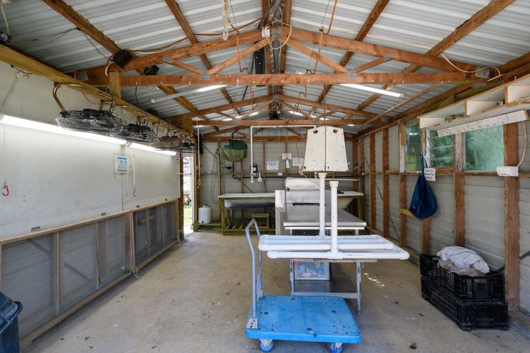 Photo of property in 911 Mclaren Falls Road, Omanawa, Tauranga, 3171