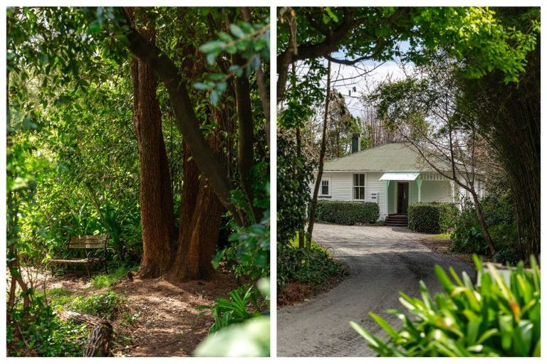 Photo of property in 324 Youngson Road, Whakamarama, Tauranga, 3179