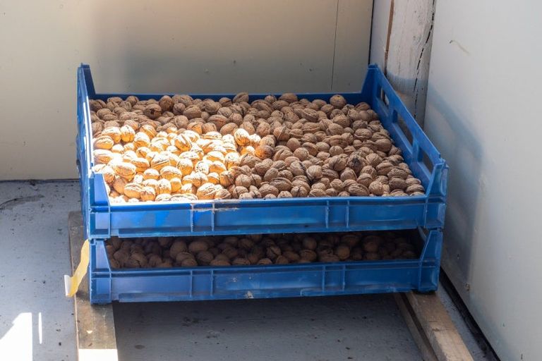 Photo of property in 120 Ulundi Road, Rakaia, 7784