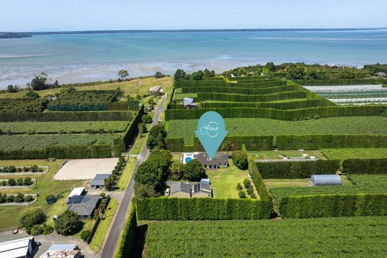 Photo of property in 126 Pukakura Road, Katikati, 3178