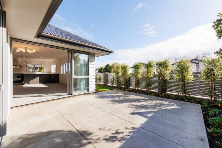 Photo of property in 14b Knowles Street, Terrace End, Palmerston North, 4410