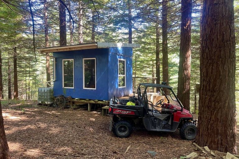 Photo of property in 262 Wainui Road South, Whakamarama, Katikati, 3181