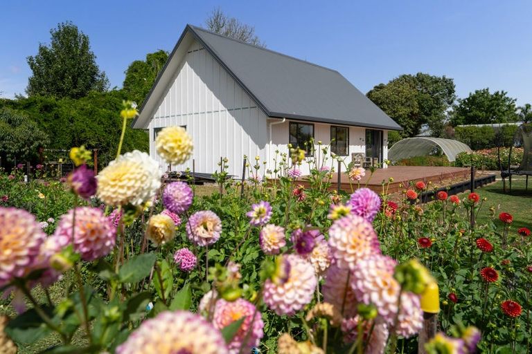 Photo of property in 5/191 Racecourse Road, Cambridge, 3493