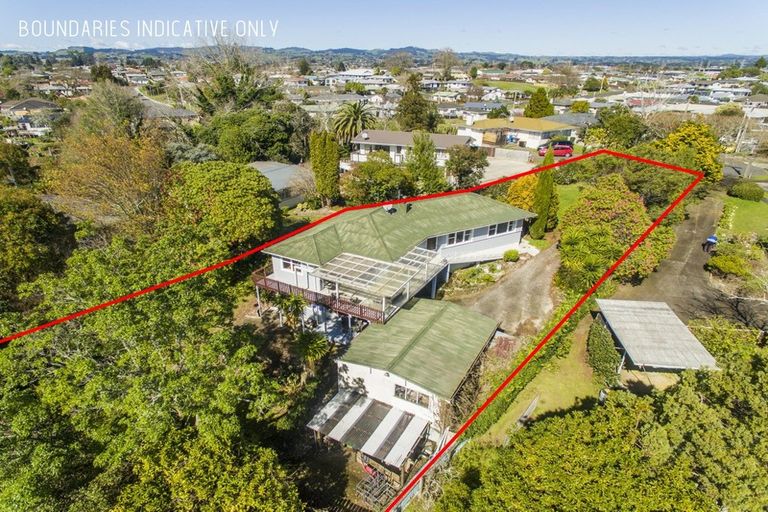 Photo of property in 48 Manson Street, Gate Pa, Tauranga, 3112