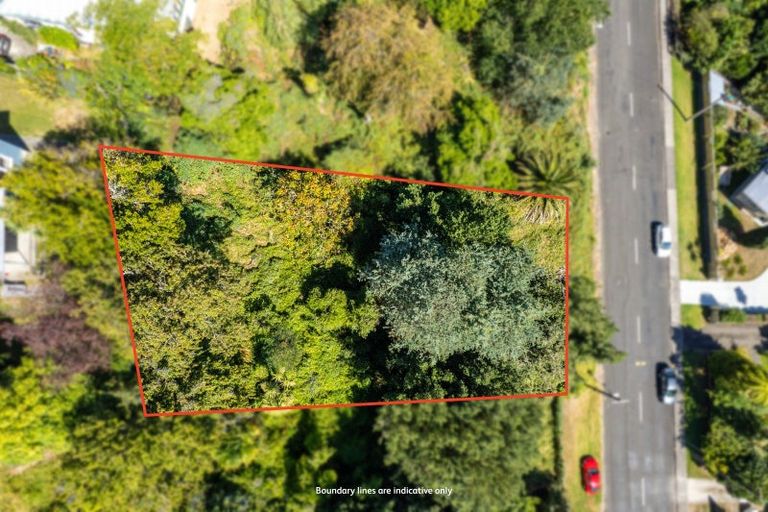 Photo of property in 56 Ikitara Road, Whanganui East, Wanganui, 4500