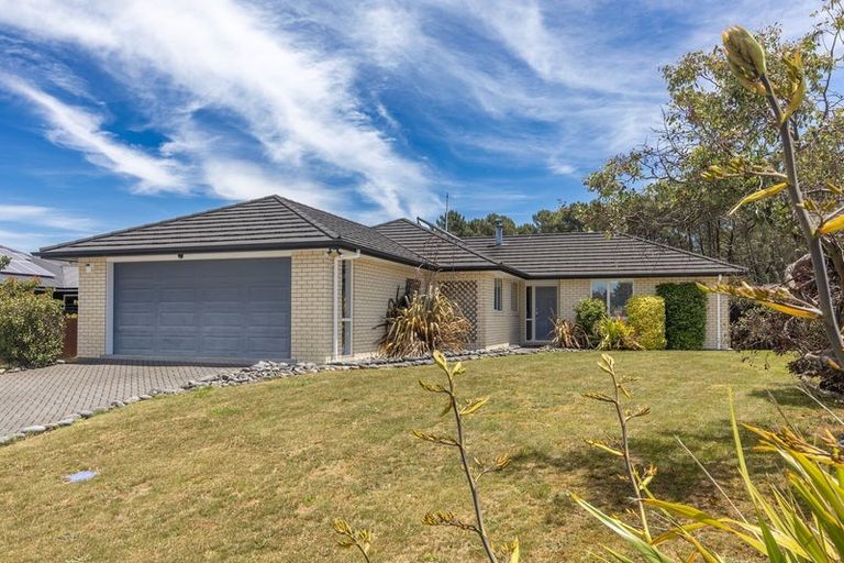 Photo of property in 60 John Norrie Place, Motuoapa, Turangi, 3382