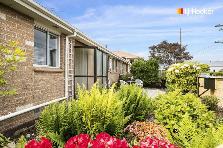 Photo of property in 172a Oxford Street, South Dunedin, Dunedin, 9012