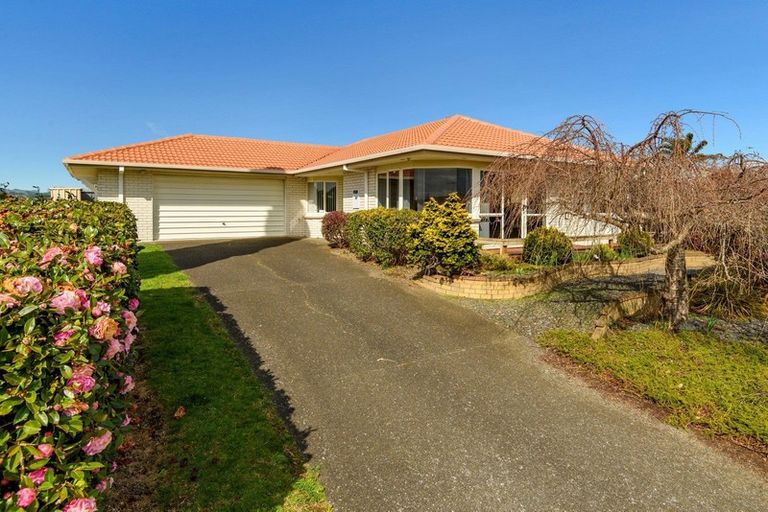 Photo of property in 31 Stephens Place, Hairini, Tauranga, 3112