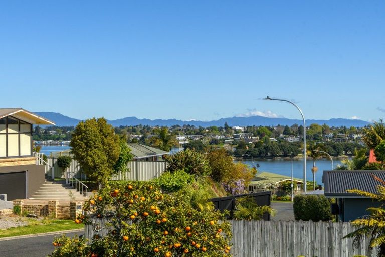 Photo of property in 19a Vine Avenue, Maungatapu, Tauranga, 3112