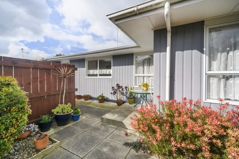 Photo of property in 84a Fitzroy Street, Terrace End, Palmerston North, 4410