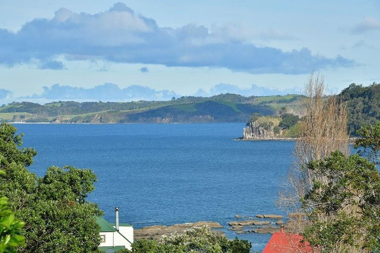 Photo of property in 8 Hillside Crescent, Leigh, 0985