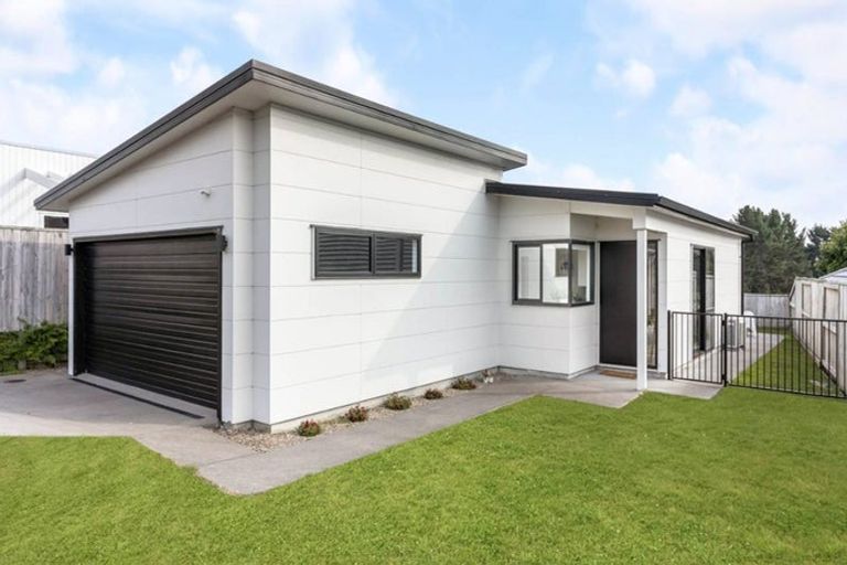 Photo of property in 12a Saint Hill Lane, Havelock North, 4130