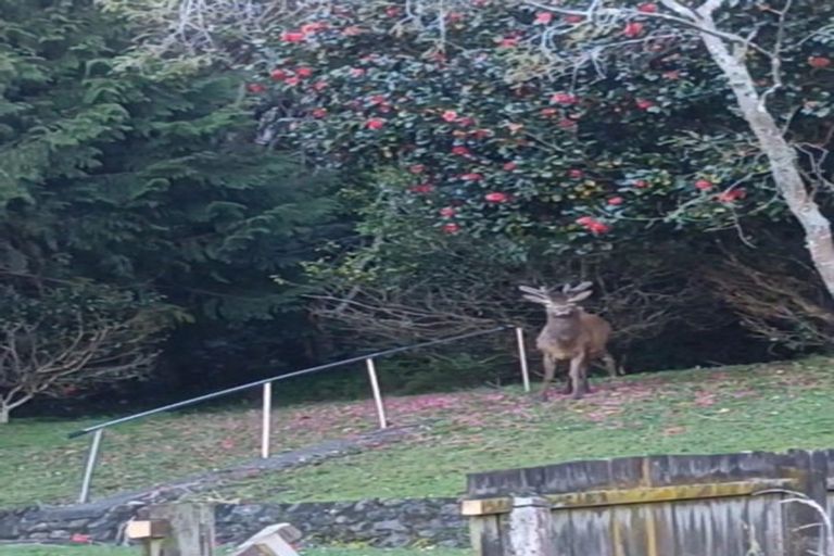 Photo of property in 10 Dover Road, Wainuiomata, Lower Hutt, 5014