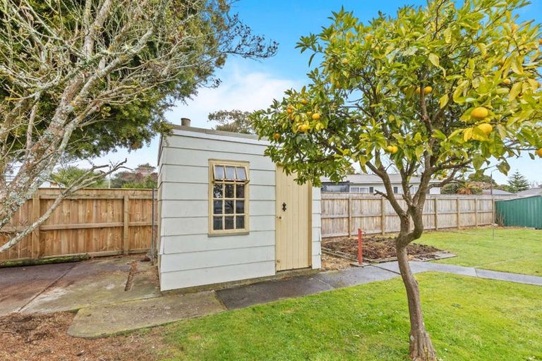 Photo of property in 3 Kirkcaldie Grove, Levin, 5510