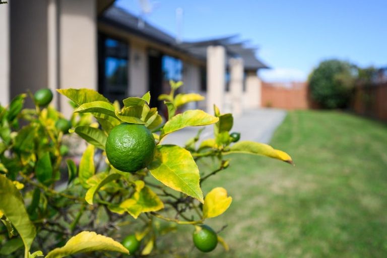 Photo of property in 48 Clearview Drive, Milson, Palmerston North, 4414