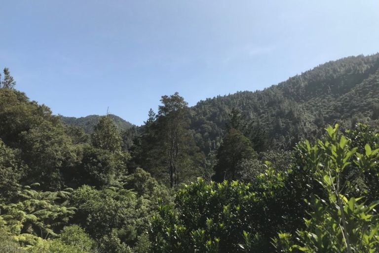 Photo of property in 570 Tutaetoko Road, Toatoa, Opotiki, 3197