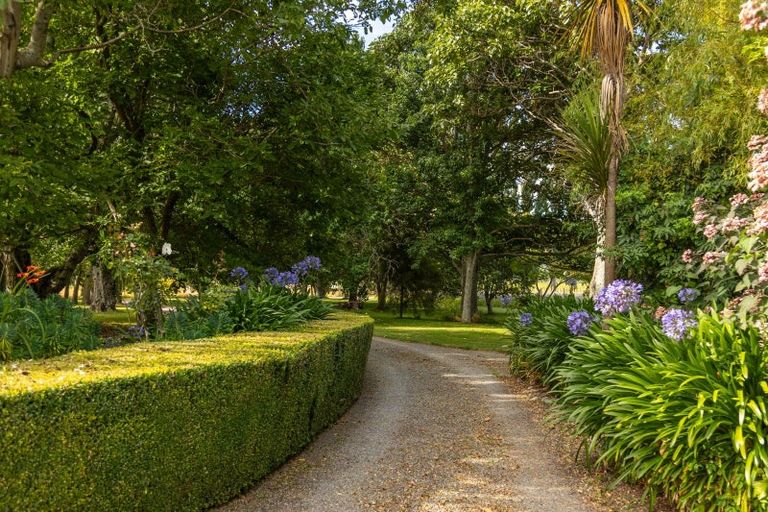 Photo of property in 145 Giffords Road, Rapaura, Blenheim, 7273