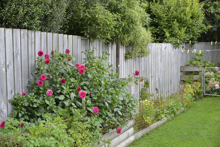 Photo of property in 45 Cockburn Street, Kuripuni, Masterton, 5810