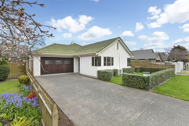 Photo of property in 624 York Street, Mahora, Hastings, 4120