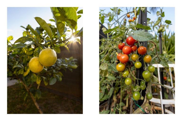 Photo of property in 51 Castlewold Drive, Bethlehem, Tauranga, 3110