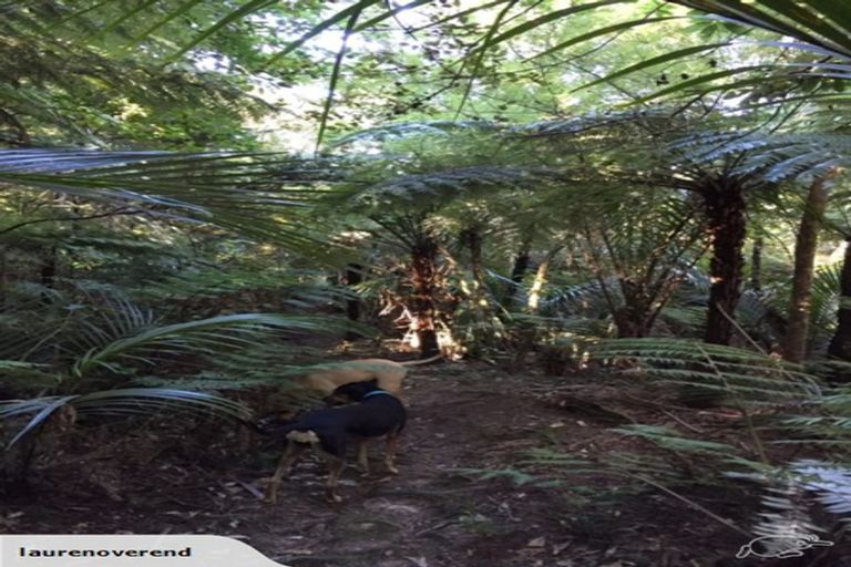 Photo of property in 29 Kauri Point Road, Laingholm, Auckland, 0604