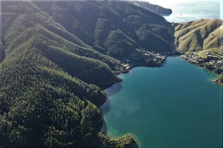 Photo of property in 474 Cissy Bay Road, Cissy Bay, French Pass, 7193