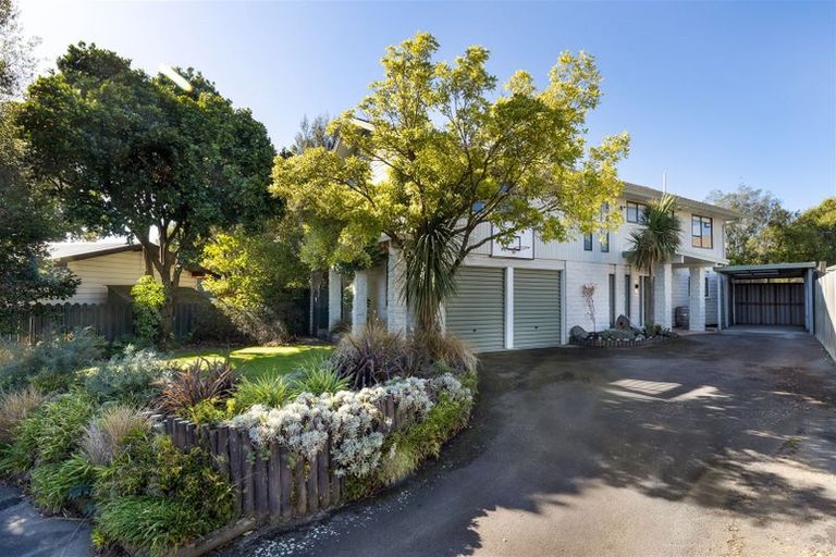 Photo of property in 17 Carlyle Crescent, Witherlea, Blenheim, 7201