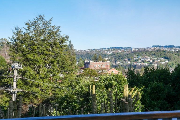 Photo of property in 20 Montrose Street, North East Valley, Dunedin, 9010