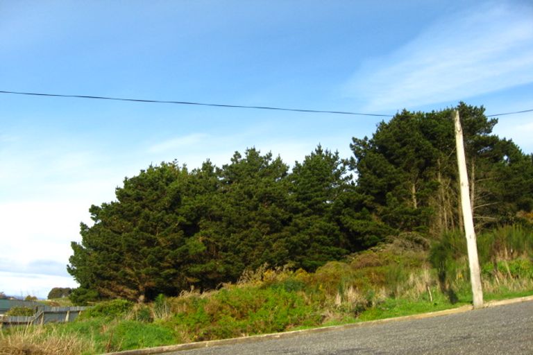 Photo of property in 84 Walker Street, Bluff, 9814